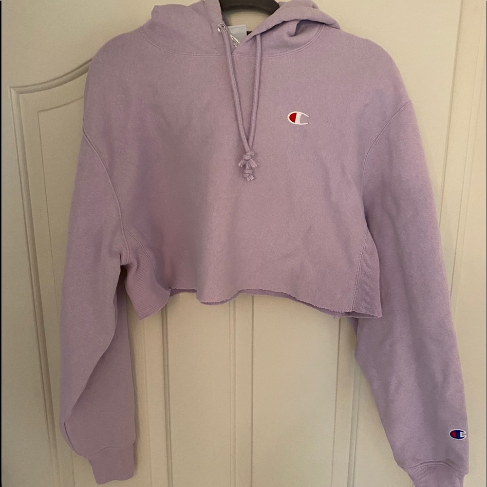 Champion cropped hoodie